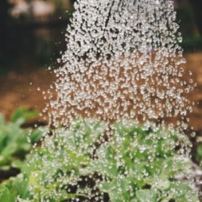 Farming Guideline For All Kinds Of Farms