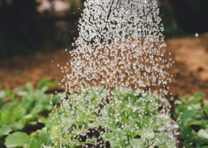 Farming Guideline For All Kinds Of Farms