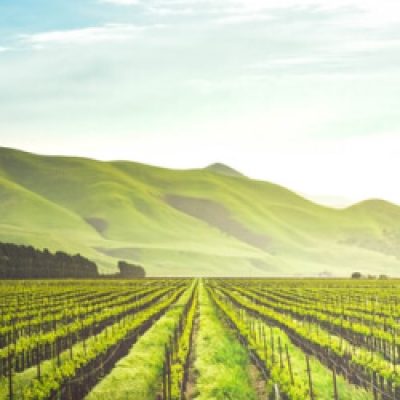 Why Grow Seeds For Climate Resiliency