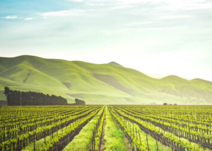 Why Grow Seeds For Climate Resiliency